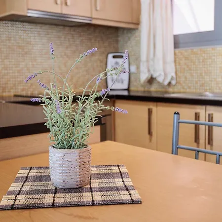 Apartamento Modern In The Heart Of With Private Balconies Filiatra