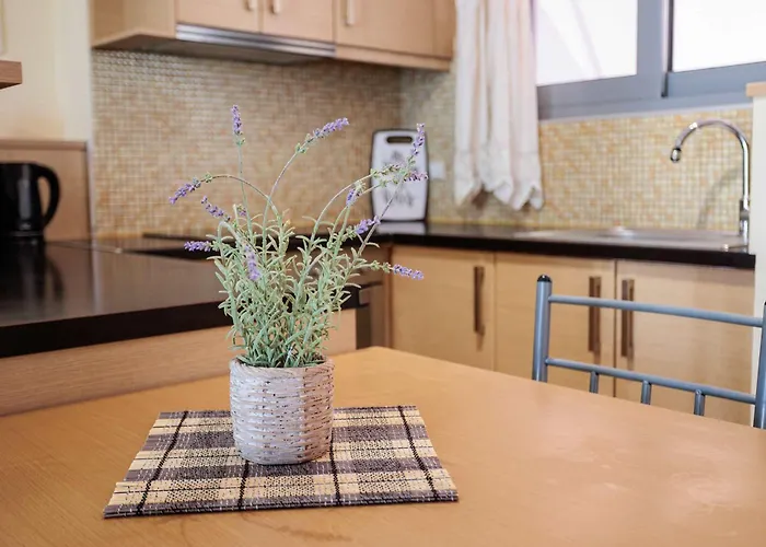 Apartament Modern In The Heart Of With Private Balconies Filiatra